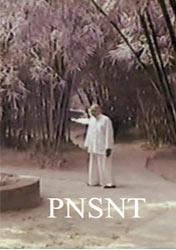 آموزش وینگ چون - PNSNT
