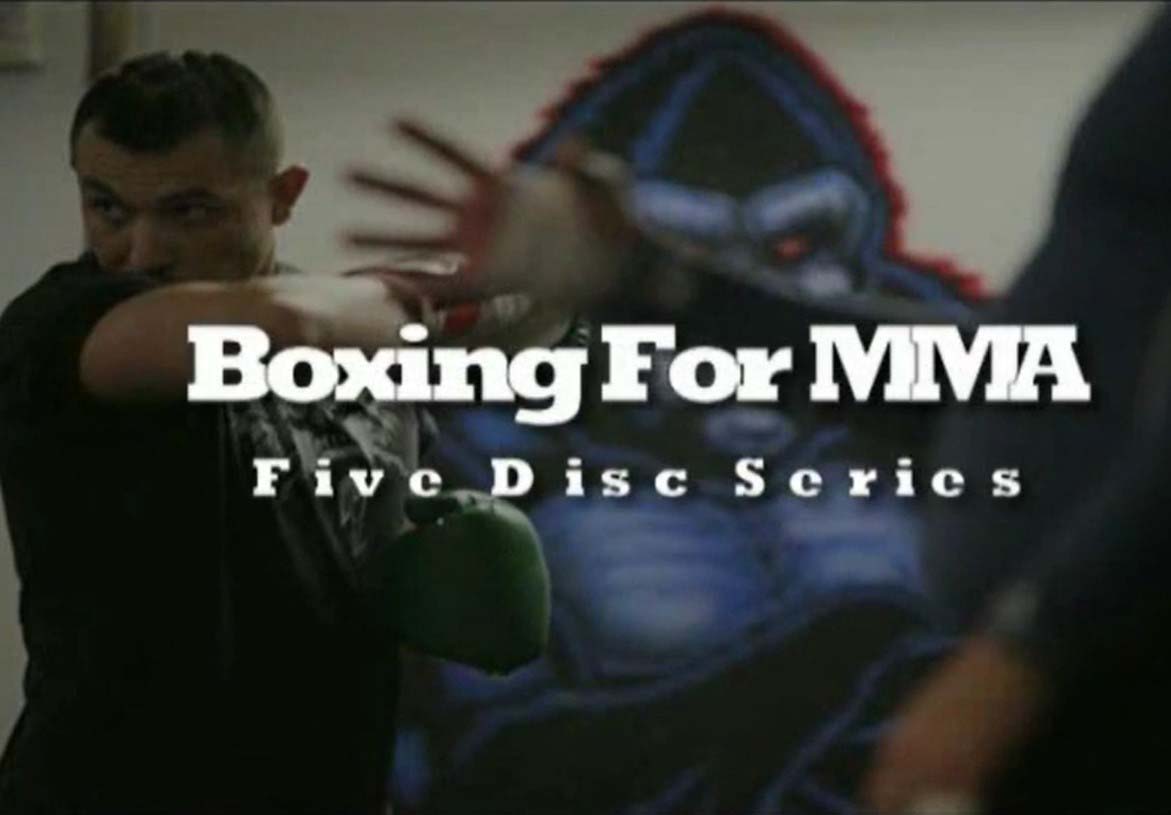 آموزش بوکس برای MMA - اصول ایستاده